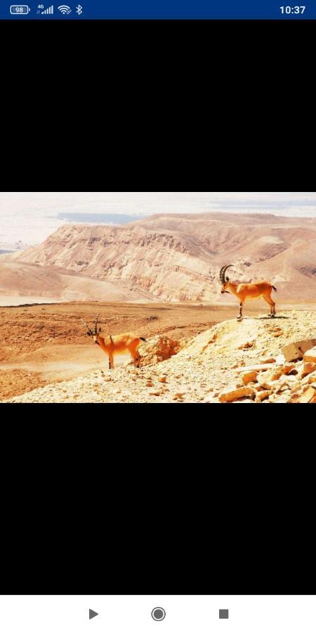 באר אורה אלת המדברGoddess of the desert מראה חיצוני תמונה